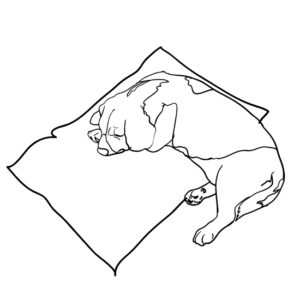 Finding a Dream’s Meaning Image